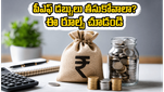 ఉద్యోగంలో ఉండగానే పీఎఫ్ డబ్బులు తీసుకోవాలా? క్లెయిమ్ రిజెక్ట్ అవ్వకుండా ఈ రూల్స్ ఫాలో అవ్వండి!