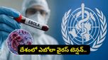భారత్‌కు ఎబోలా వైరస్ ముప్పు? రంగంలోకి దిగిన కేంద్ర ప్రభుత్వం.. కొత్త గైడ్‌లైన్స్ ఇవే!