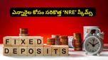 ఎన్నారైలకు సూపర్ ఛాన్స్! ఇండియాలో డబ్బులు దాచుకుంటే 8% వరకు వడ్డీ.. పైగా టాక్స్ ఫ్రీ!