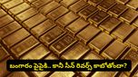బంగారం, స్టాక్స్ లేదా డెట్? రూ. 2.7 లక్షల కోట్ల ఫండ్ మేనేజర్ సంచలన ఇన్వెస్ట్‌మెంట్ ఫార్ములా!