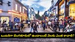 బెంగళూరులో ఒక్కరే ఉంటే నెలకు రూ. 60,000 ఖర్చవుతుందా? వైరల్ అవుతున్న యువతి 1BHK లెక్కలు!