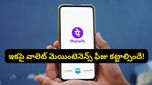 ఫోన్‌పే కొత్త రూల్.. ఆ తప్పు చేస్తే మీ వాలెట్ నుండి డబ్బులు మాయం!
