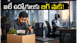 ఐటీ ఉద్యోగులకు హెచ్చరిక: AI ఏజెంట్లతో మారనున్న కెరీర్, ఇకపై జీతాలు ఇలాగేనా?