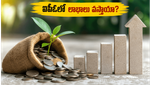 హెక్సాగన్ న్యూట్రిషన్ ఐపీఓ: చివరి గంటల్లో ఇన్వెస్టర్ల జోరు - లిస్టింగ్ రోజు లాభాలెలా?