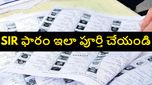 తెలుగు రాష్ట్రాల్లో SIR ప్రక్రియ ప్రారంభం.. ఆన్‌లైన్‌లో ఎన్యుమరేషన్ ఫారం ఎలా నింపాలి..స్టెప్ బై స్టెప్ గైడ్