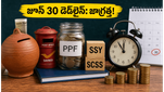 చిన్న మొత్తాల పొదుపు పథకాలు: జూన్ 30లోపు ఈ పనులు చేయకపోతే మీకే నష్టం!