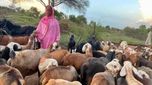 Telangana: మహిళలకు గుడ్ న్యూస్.. కేవలం 4 శాతం వడ్డీతో రుణాలు..!