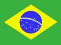 HSBC Brazil Fund: To invest or not to invest