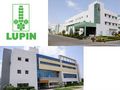 Lupin share up on USFDA approval for its contraceptive drug Norethindrone
