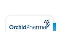 Orchid Chemicals' stock down by 17%