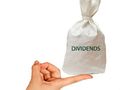 What you need to know about dividend paying companies?