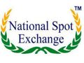 ED attaches Rs 75 cr assets in NSEL scam case