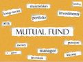 What are the charges investors bear while investing in mutual funds in India?