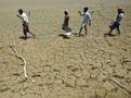 Farm Loan Waivers May Cost Rs 1.5-2.3 Trillion