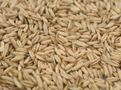 Food Minister Says Centre Working On Portability Of Food Grains Entitlement