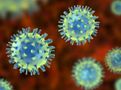 Stocks To Look At In The Midst Of The Coronavirus Pandemic