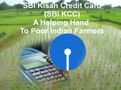 SBI Kisan Credit Card: Here’s How To Apply Online & Offline