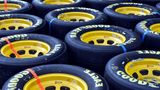 Goodyear Shares Surge 18% After Announcing Dividend Of Rs 80 Per Share