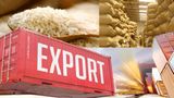 India Imposes 20% Export Duty On Parboiled Rice; Key Highlights Here