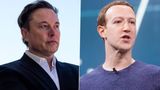 Elon Musk Says May Require Surgery Before Cage Fight With Mark Zuckerberg