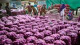 As Onion Prices Spike, Govt Hikes Buffer To 5 Lakh Tonnes