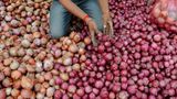 Farmers Protest In Nashik Against Centre's 40% Export Duty On Onion