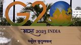 Global Fest 2023: FM Says Need To Make Arrangements From Import Of Pulses