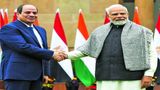 India, Egypt Discuss Wheat-For-Fertilisers Deal, To Ramp Up Bilateral Trade