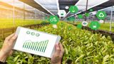 Asia-Pacific AgTech Sees Upstream Surge: Investment Shifts in 2023