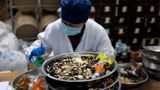 EIA Report Exposes Widespread Use Of Endangered Species In Chinese Medicines