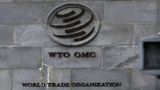 India Urges WTO Members To Start Text-Based Talks On Finding Solution To Public Food Stockholding
