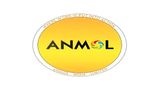 Anmol India Board Approves Fund Raising From QIBs, Plans For Organic & Inorganic Growth Over Next 5 Years