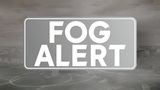IMD Issues Very Dense Fog Alert In North India; Flights And Trains Disrupted