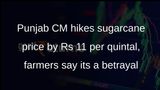 Punjab CM hikes sugarcane price by Rs 11 per quintal, farmers say its meagre