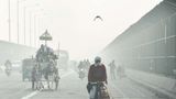 Cold Wave Sweeps Northern India: IMD Issues Severe 'Cold Day' Warning As Dense Fog Blankets Region