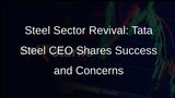 Steel Sector Recovery: Tata Steel CEO Discusses Growth and Challenges