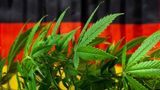 Germany Greenlights Cannabis: New Law To Legalize Possession, Cultivation, Smoking; But T&C Apply