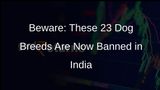23 Ferocious Dog Breeds Banned in India: Ensuring Public Safety