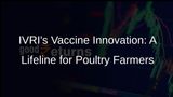 IVRIs Breakthrough: Vaccine to Curb Infectious Bursal Disease in Poultry