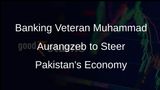 Muhammad Aurangzeb: From Banking Giant to Pakistans Finance Minister