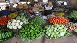 India Wholesale Price Inflation Rises To 2.61% In May, Rise For The Third Straight Month; Details