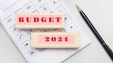 Budget 2024: From BEL To Tata Steel - 3 Stocks Benefiting The Most From The Upcoming Budget