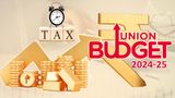 Union Budget 2024: Mutual Fund Houses Pin Hopes on Fiscal Consolidation, Focus On Infra, SME & More