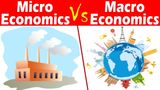 Microeconomics Vs Macroeconomics: Understanding Differences & Interdependence Of The Economic Areas