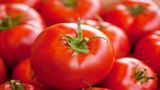 Tomato Prices Hit Roof In Several Indian Cities, Surge Past Rs 80/Kg
