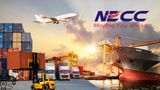 Logistics Company NECC Announced Stellar Q1FY25 Results