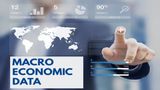 Economists Call For Reduction In Time Lag For Release of Macro Economic Data Like GDP