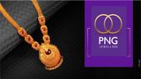 PNG Jewellers IPO: New Gems & Jewellery Stock Listed At Premium; BUY/SELL/HOLD, What Should Investors Do?