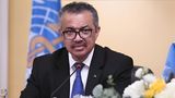 WHO Chief: Unsafe Food Causes 600 Million Illnesses, 4,20,000 Deaths Annually