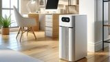 Affordable Air Purifiers Under Rs 5,000 To Combat Indoor Pollution This Festive Season